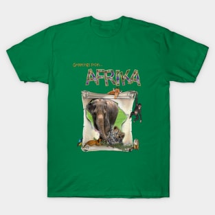 African Wisdom T-Shirt